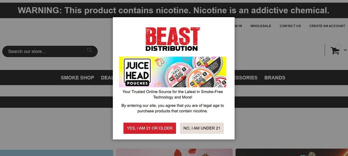 Age verification splash page example from an e-cigarette website requiring users to confirm they are of legal age